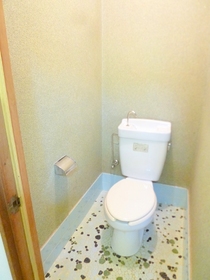 Toilet. Western-style toilet ☆ 