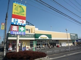 Supermarket. Inageya to (super) 850m