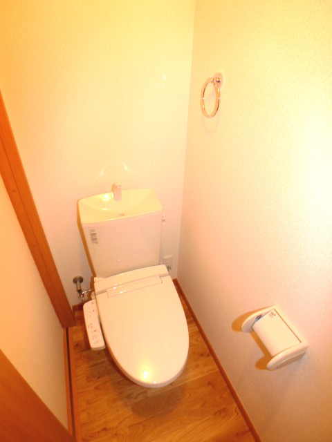 Toilet. Warm water washing toilet seat