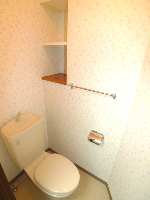 Toilet. It sticks warm water washing toilet seat
