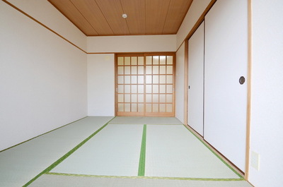 Other room space. Soothing tatami