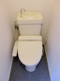 Toilet. Cleaning function toilet seat