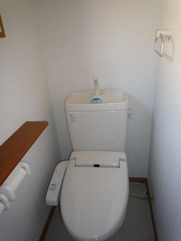 Toilet. January 2013 shooting