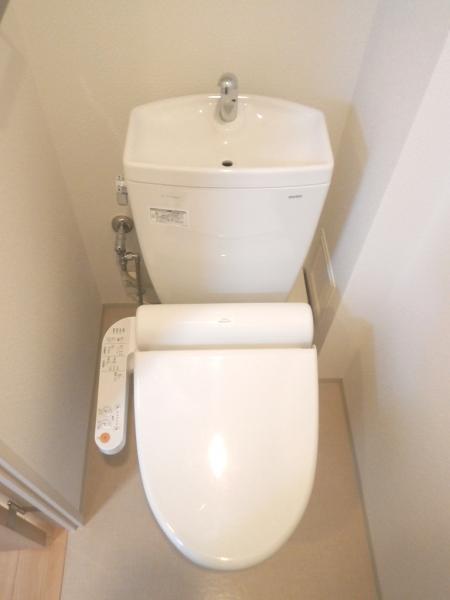 Toilet. Shower function with toilet: 2013 September