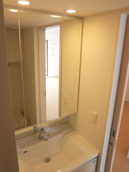 Wash basin, toilet. Storage rich three-sided mirror specification vanity: 2013 September
