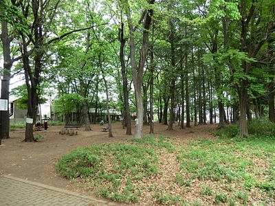 park. 335m to parkland Kurihara (park)
