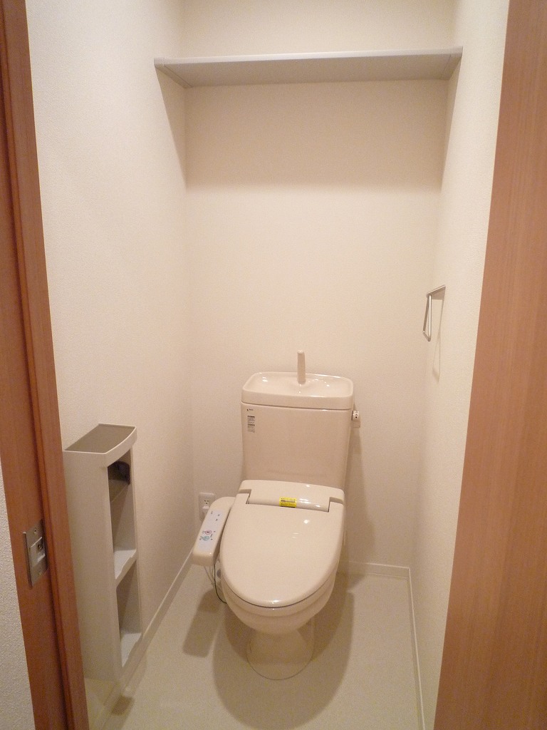 Toilet. The same type of reference photograph