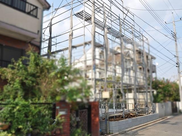 Local appearance photo. Time basis