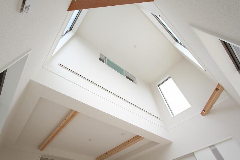 Other. Same specifications blow-by photo