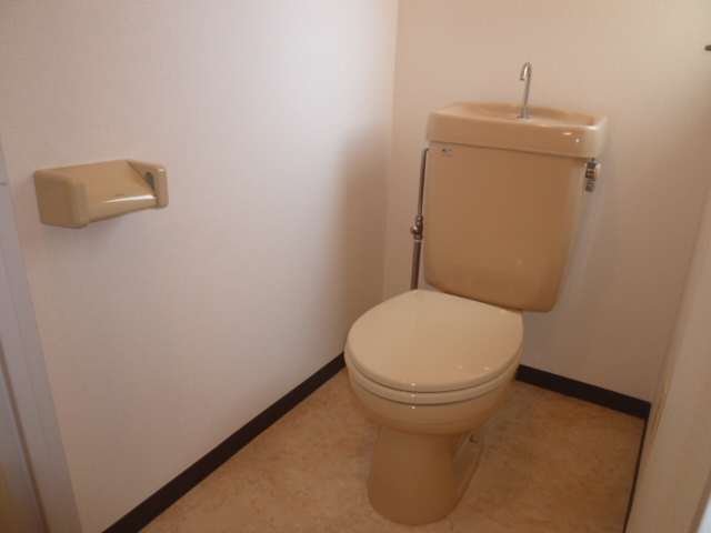 Toilet. It is a photograph of another room