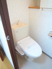 Toilet. Toilet chamber with a change in the wallpaper that contains the pattern ☆