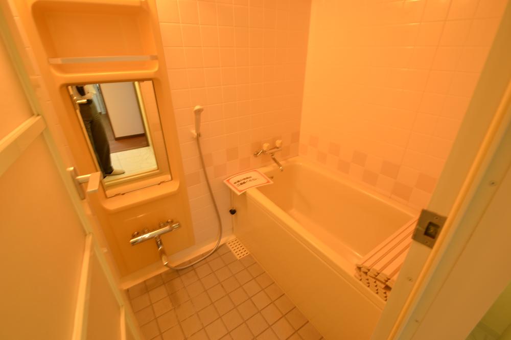 Bathroom. Indoor (September 2013) Shooting