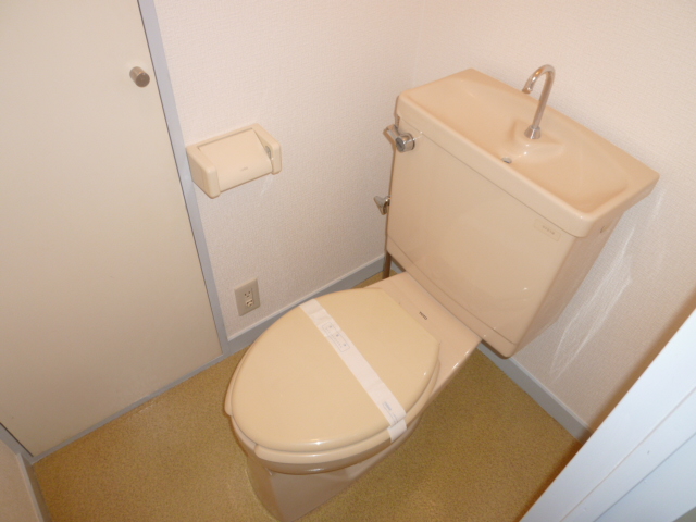 Toilet. It is a photograph of another room