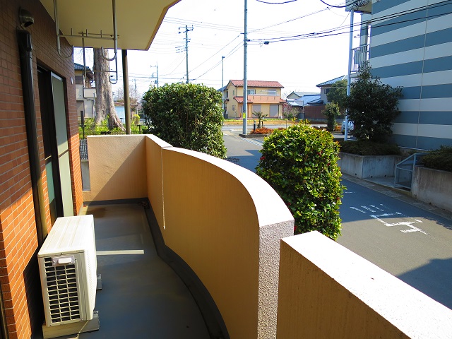 Balcony. Since the apartment is a large balcony