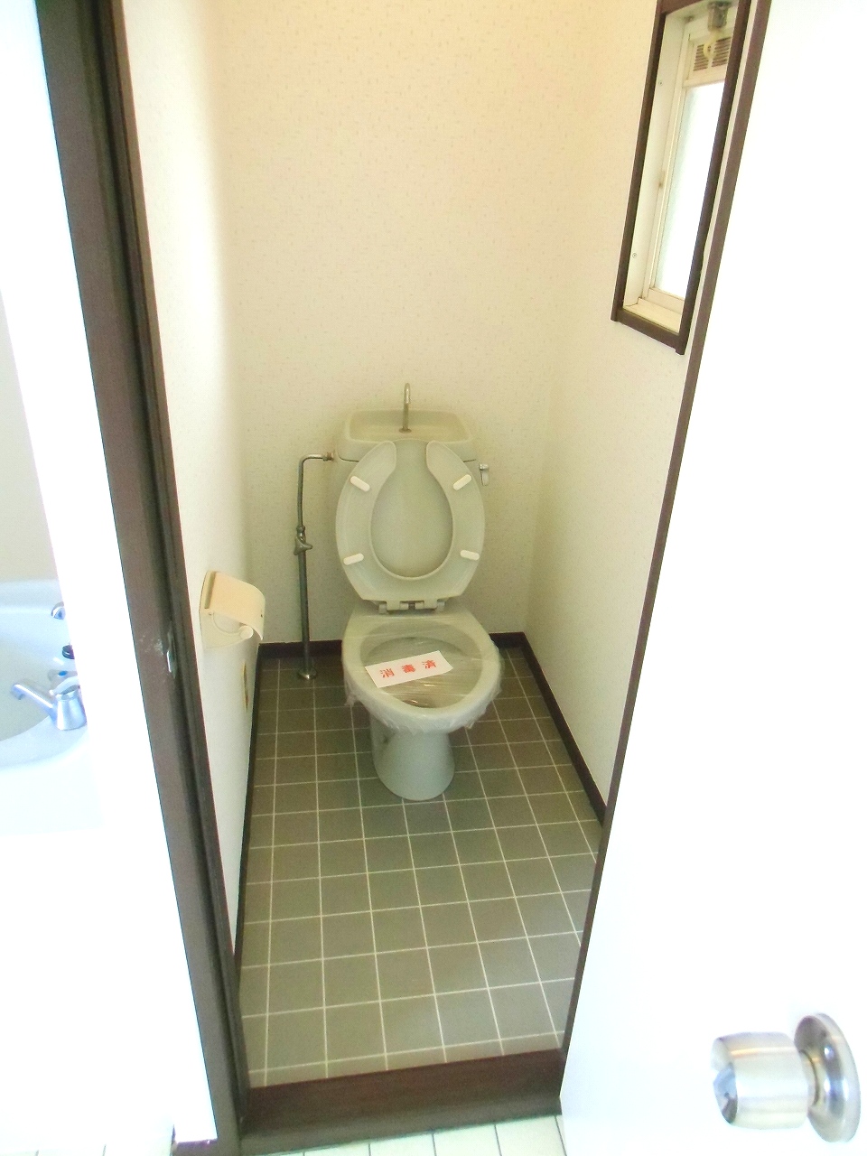 Toilet. It will be Western-style flush toilet