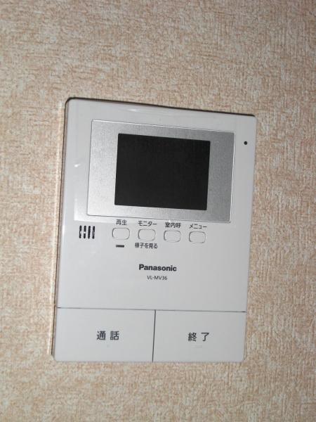 Other introspection. Monitor with intercom