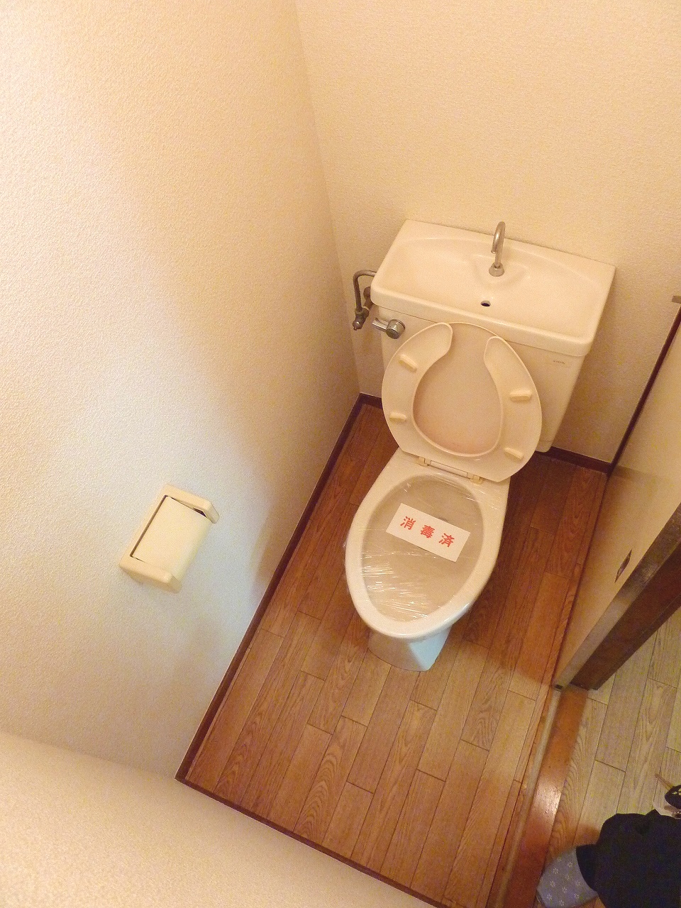 Toilet. It will be Western-style flush toilet