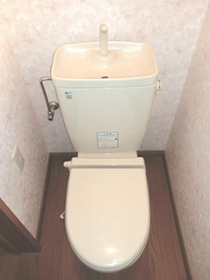 Toilet. Heating function with toilet seat