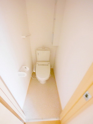 Toilet. The completed is the same type of photo