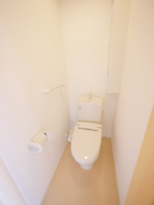Toilet. The completed is the same type of photo
