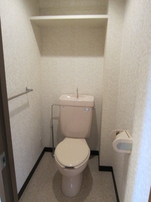 Toilet. There is a cupboard, It can be stored is!