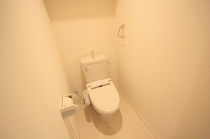 Other. Toilet