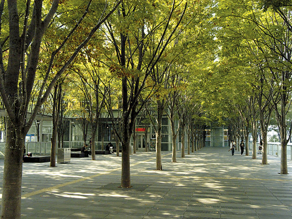 Surrounding environment. Zelkova Square (about 390m ・ A 5-minute walk)
