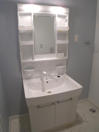 Washroom. Bathroom Vanity