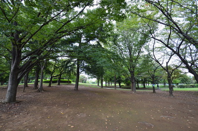 park. 700m to Hachioji park (park)