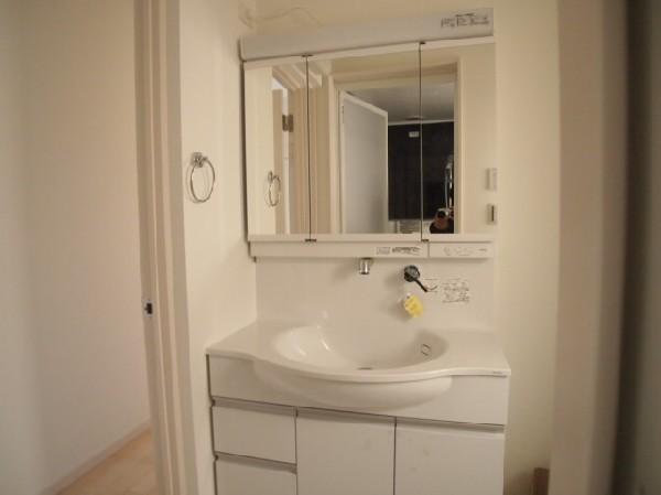 Wash basin, toilet. Vanity with a wide mirror