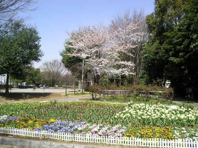 park. Also cherry-blossom viewing in Yono Central Park Spring also enhance playground equipment! About 170m