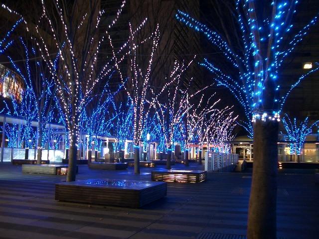 Other Environmental Photo. In Zelkova square up to 1360m now it is the resting place of Saitama citizen.