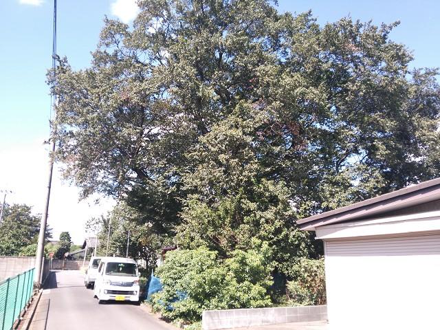 Local photos, including front road. It is less the front road of quiet and traffic. It is a nice was also surrounded by a green atmosphere.