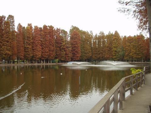 park. 800m to Bessho swamp park