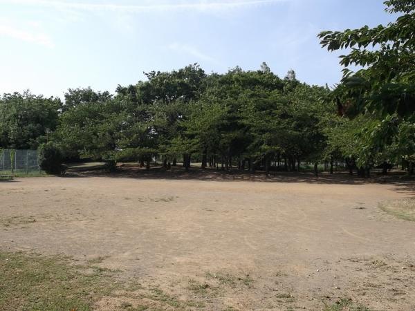 park. 1400m Hachioji park to the park