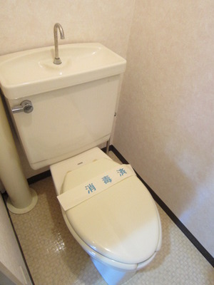 Toilet. Toilet