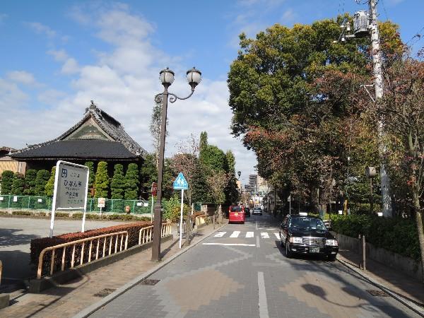 park. Oasis of 1400m Saitama citizens to Saitama City Central Park!