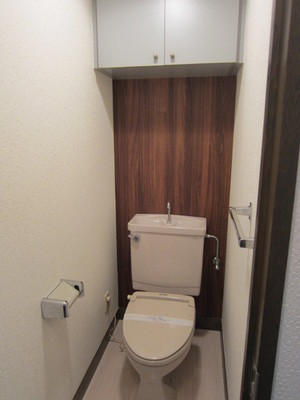 Toilet. You can stored in a cupboard!