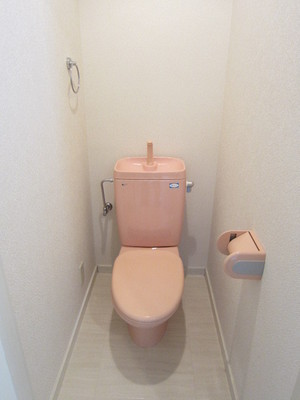 Toilet. It is a popular bus toilet another room