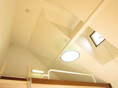 Other. It is with skylight