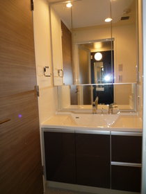 Washroom. With Vanity