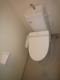 Toilet. With warm water washing toilet seat