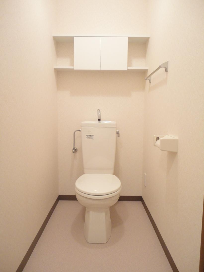 Toilet. Spacious breadth of toilet