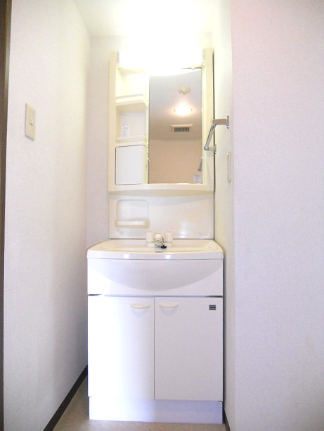 Washroom. Dressing room there is a vanity and washing machine Storage