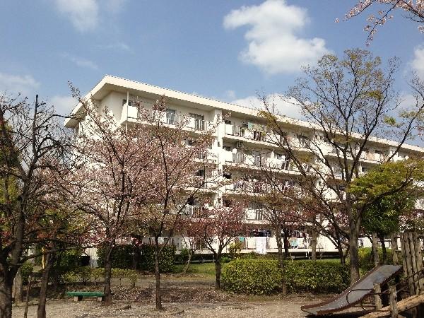 Local appearance photo. Local appearance 2