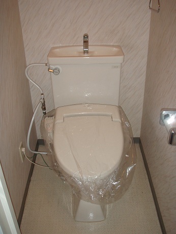 Toilet