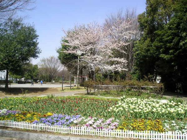 park. 840m play equipment up to Central Park ・ Yes Tennis Court.