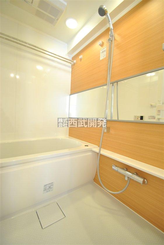 Bathroom. Indoor (11 May 2013) Shooting