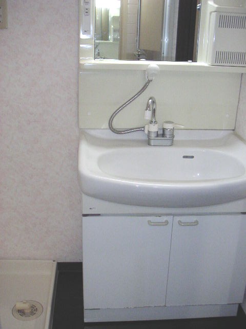 Washroom. Reference photograph