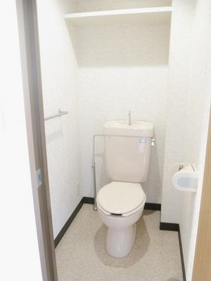 Toilet. Restroom with storage